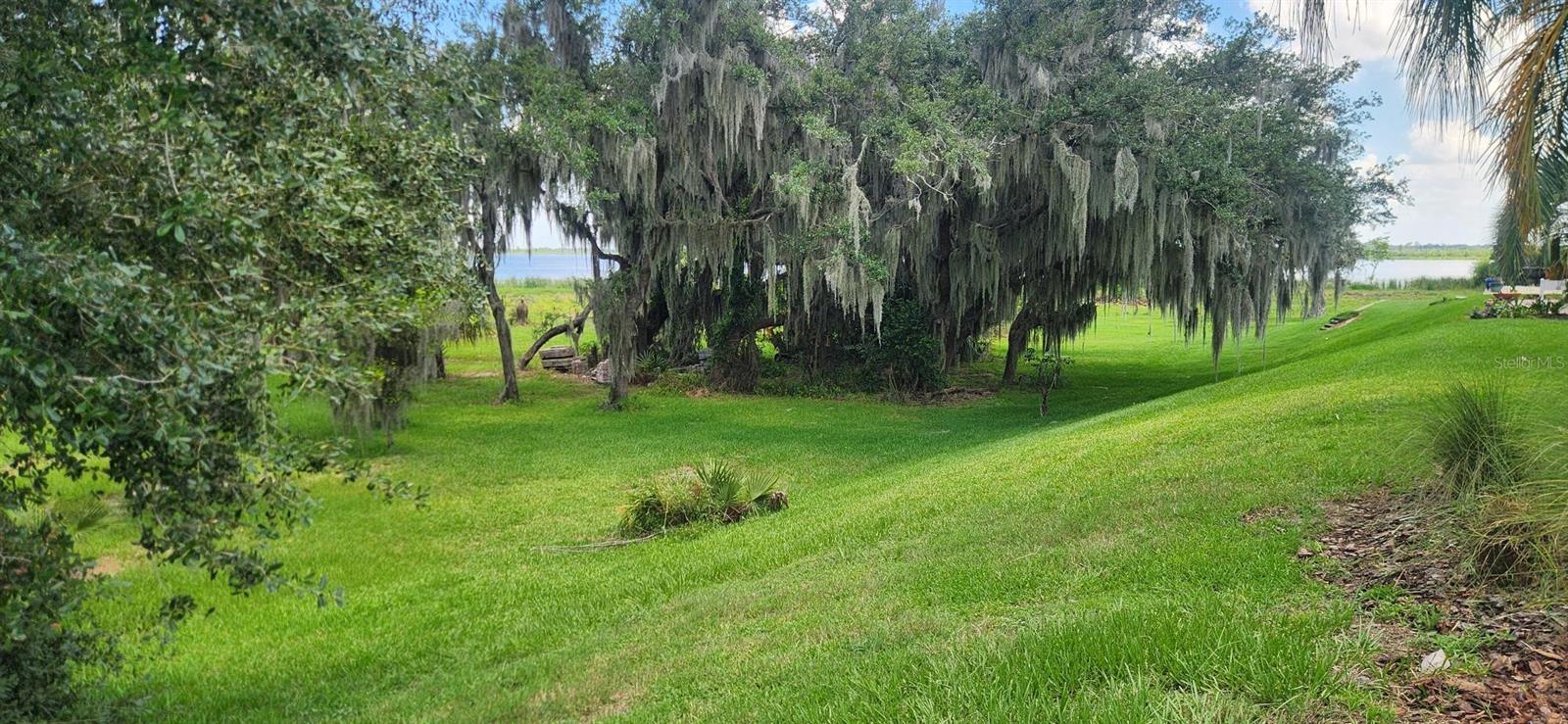 3316 FISH HAWK DR, POLK CITY, FL — photo 6