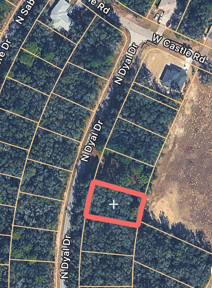 10161 N DYAL DR, CITRUS SPRINGS, FL