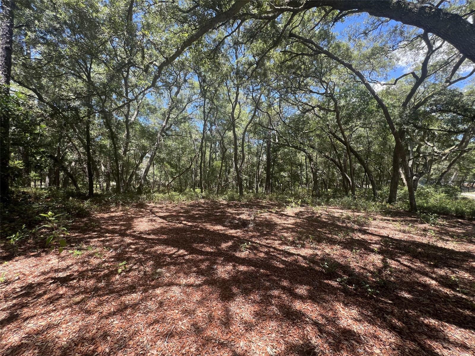 1425 RENBAR RD, DE LEON SPRINGS, FL — photo 11