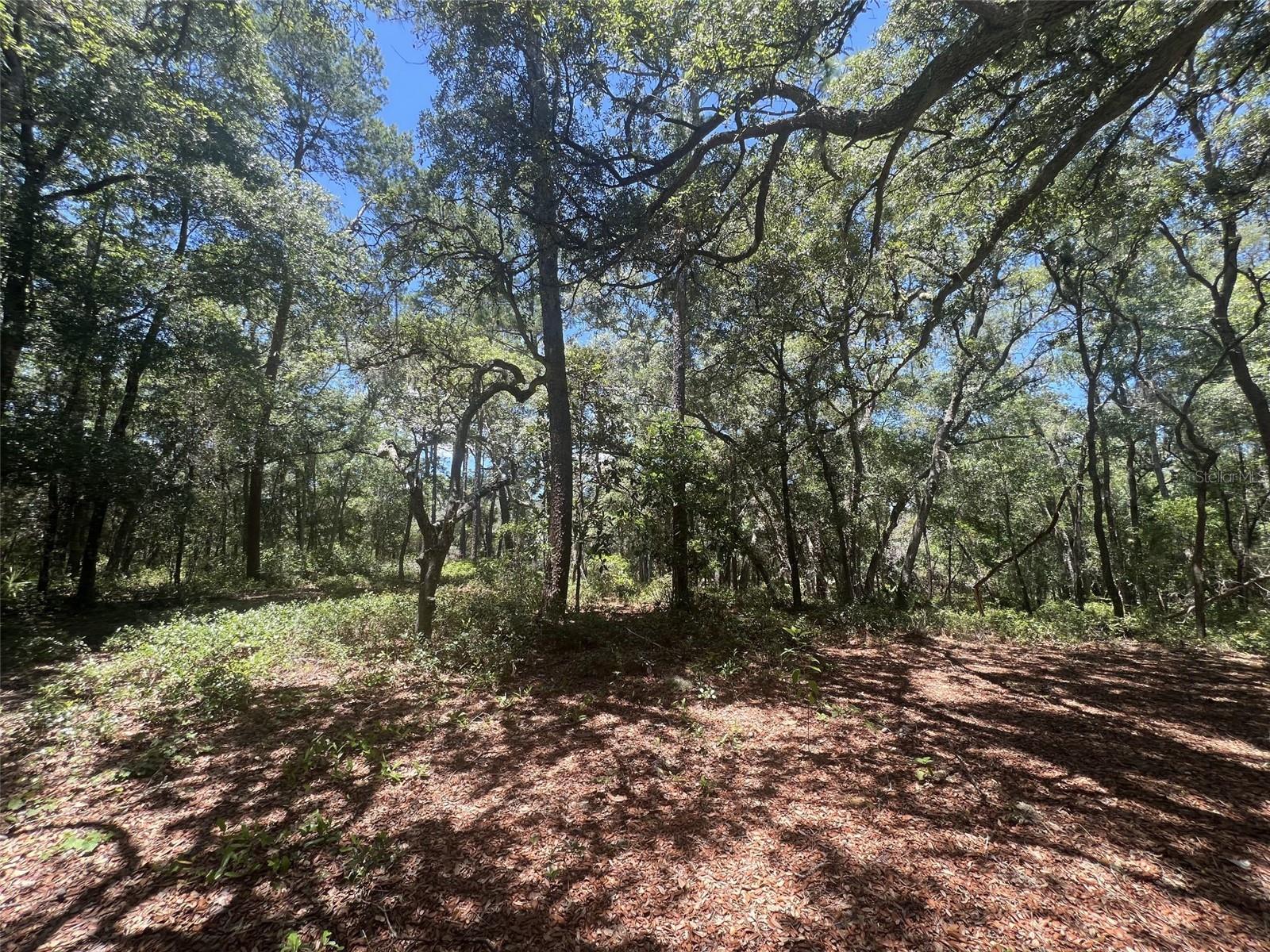 1425 RENBAR RD, DE LEON SPRINGS, FL — photo 14