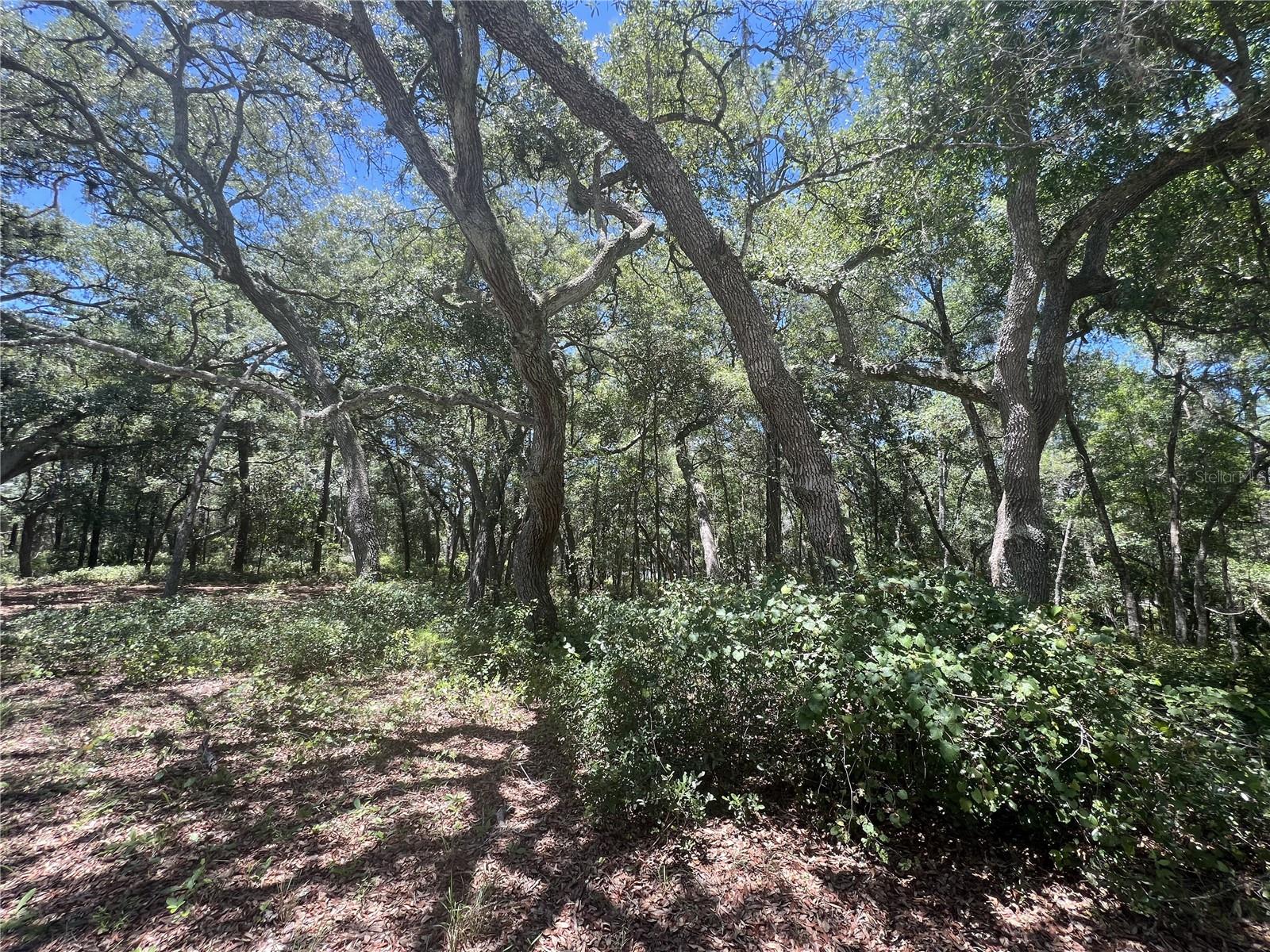 1425 RENBAR RD, DE LEON SPRINGS, FL — photo 16