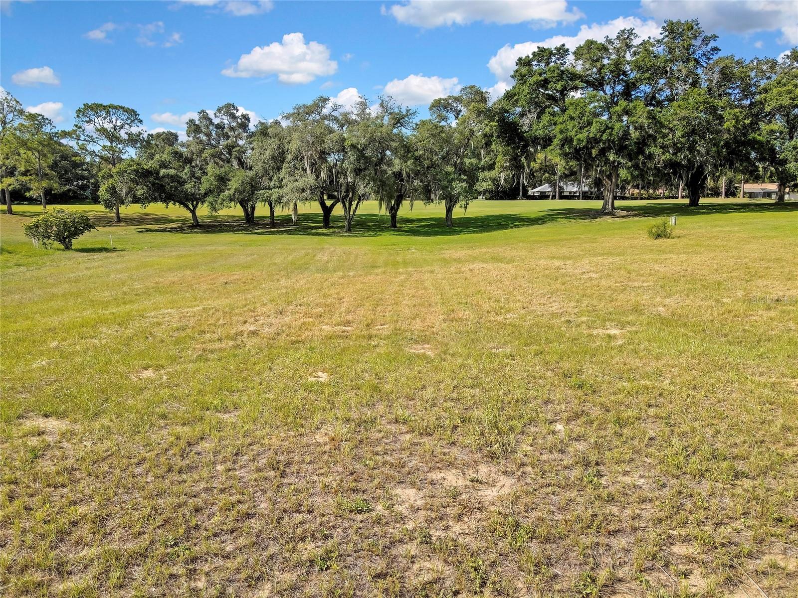 368 E FALCONRY CT, HERNANDO, FL — photo 6
