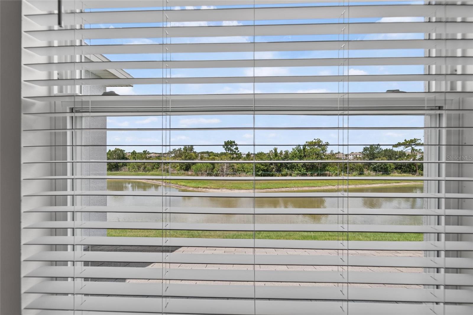 33046 MAJOR OAK DR, WESLEY CHAPEL, FL — photo 40