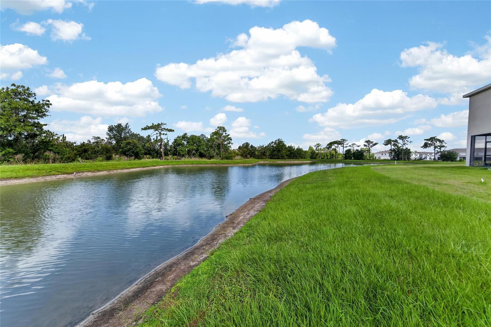 33046 MAJOR OAK DR, WESLEY CHAPEL, FL — photo 44