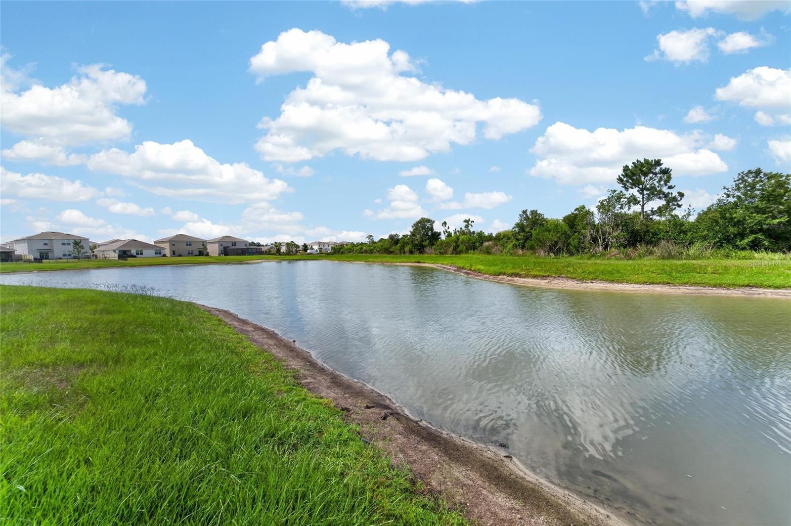 33046 MAJOR OAK DR, WESLEY CHAPEL, FL — photo 45