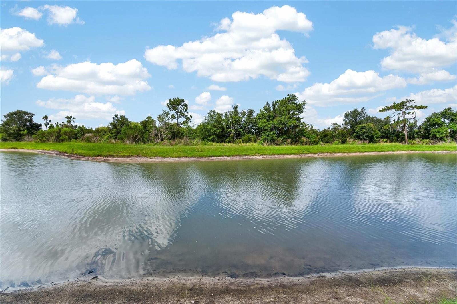 33046 MAJOR OAK DR, WESLEY CHAPEL, FL — photo 46