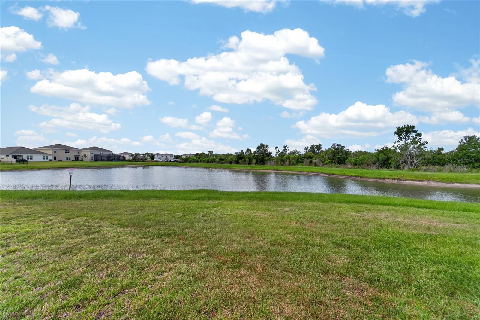 33046 MAJOR OAK DR, WESLEY CHAPEL, FL — photo 47