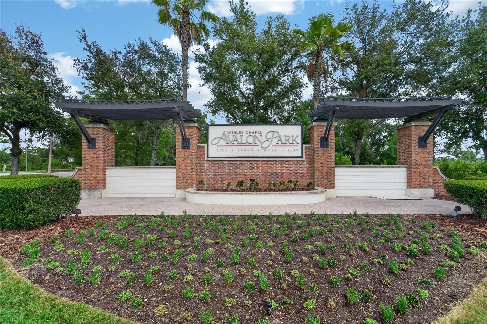 33046 MAJOR OAK DR, WESLEY CHAPEL, FL — photo 49