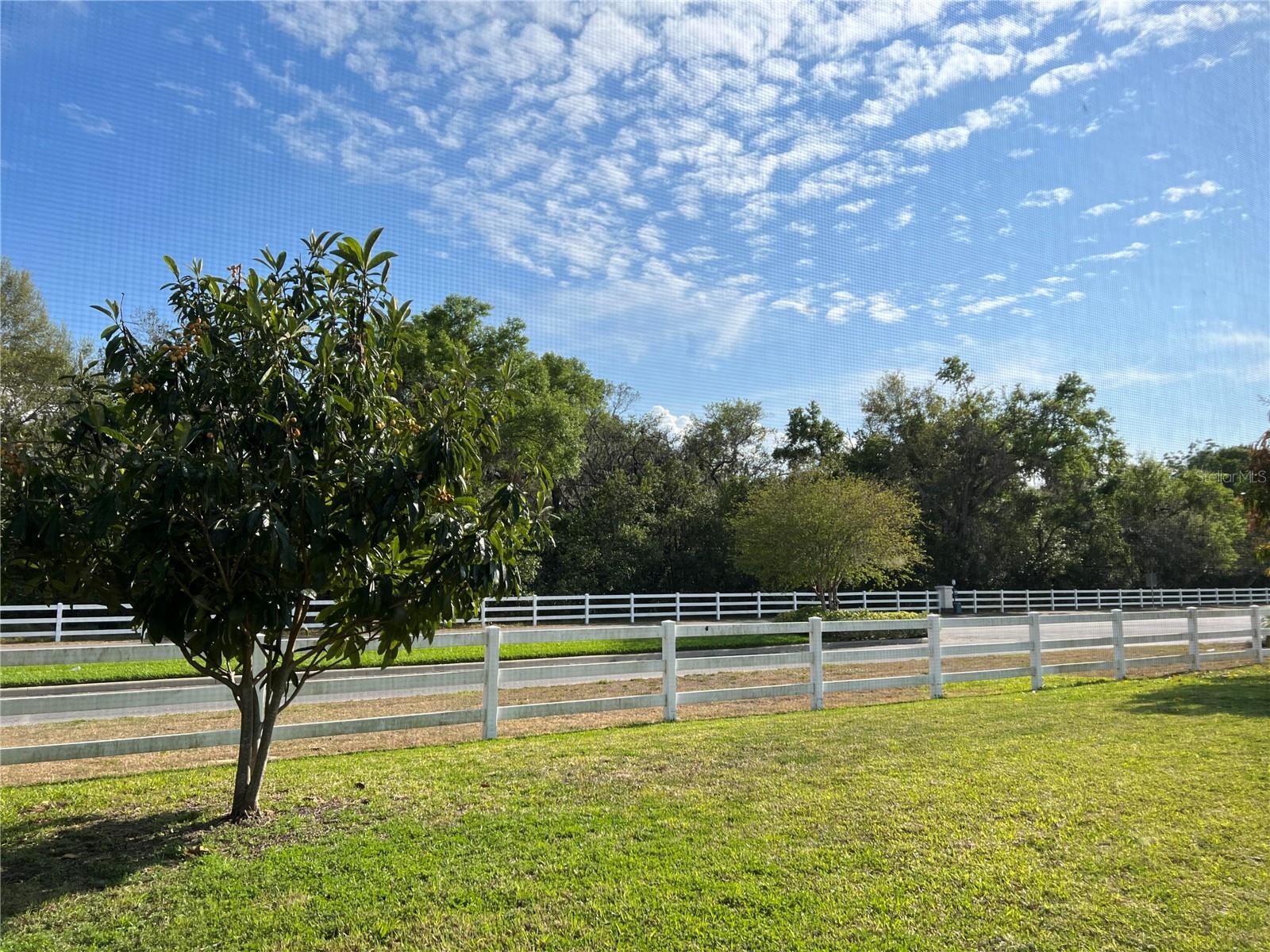365 JAMES CIR, LAKE ALFRED, FL — photo 30