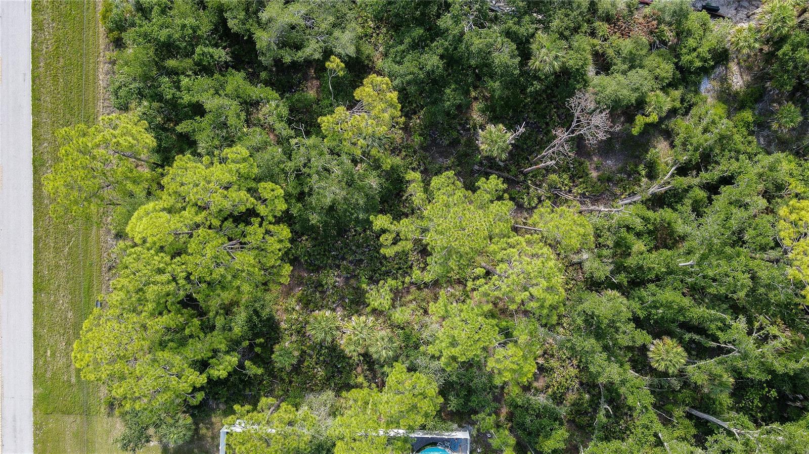 1213 BISCAYNE DR, PORT CHARLOTTE, FL — photo 7
