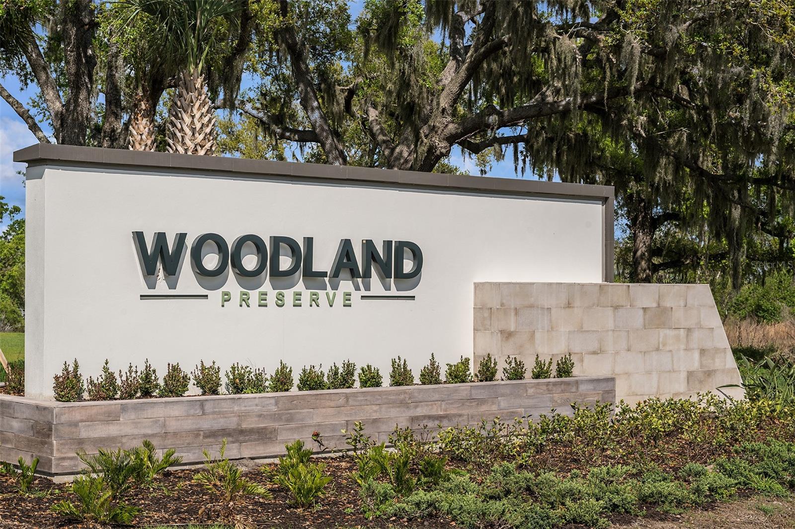 14366 HAMMOCK OAK ST, PARRISH, FL — photo 48
