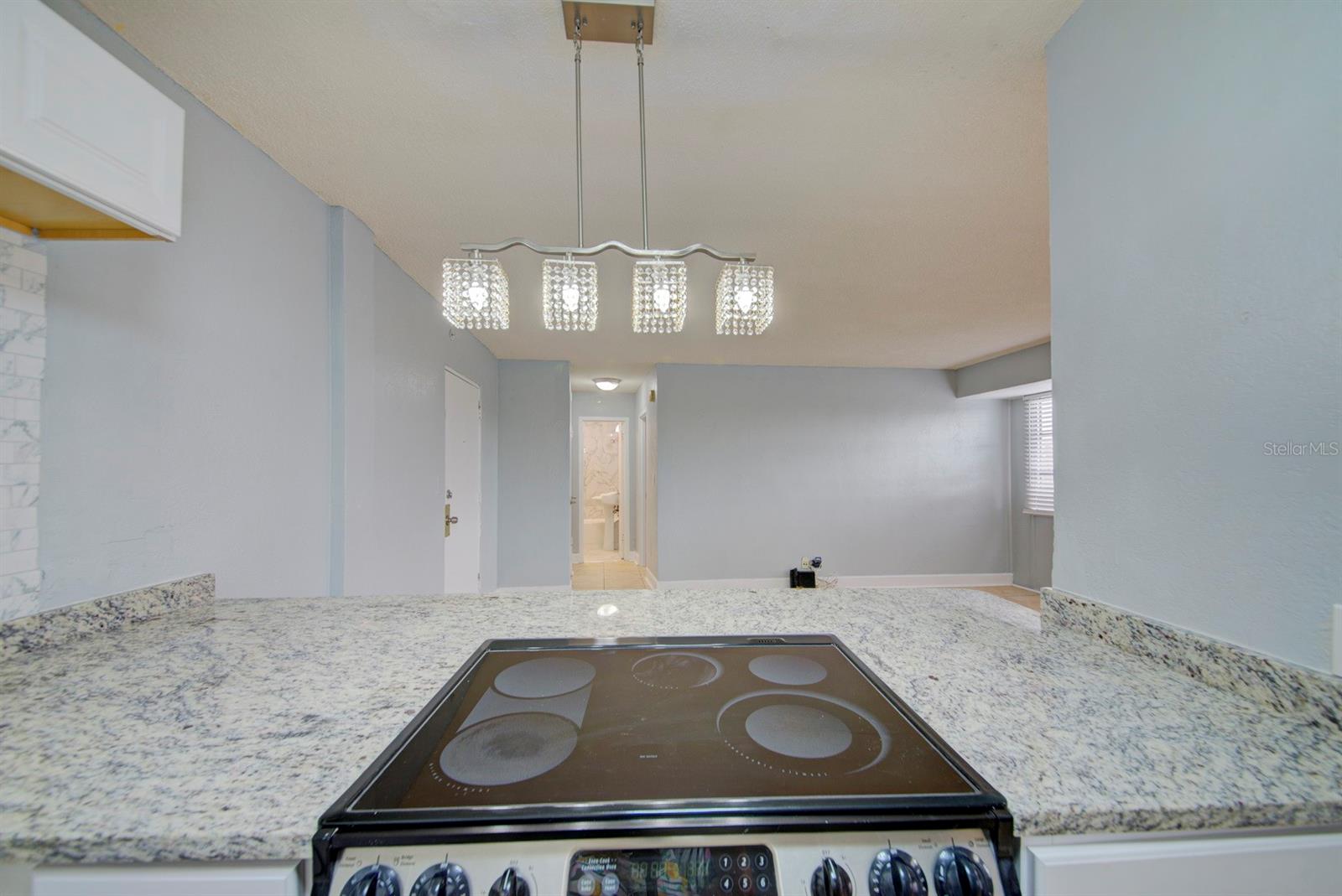 3315 58TH AVE S #306, ST PETERSBURG, FL — photo 9