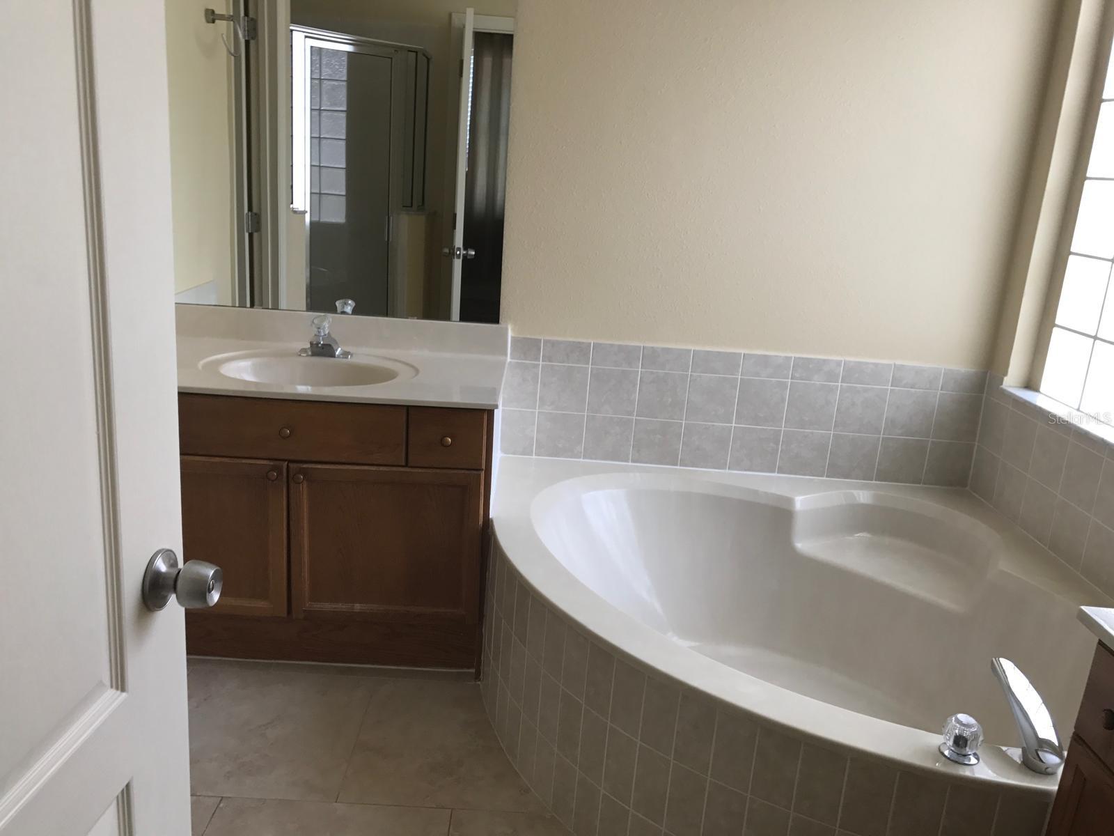 6628 BOUGANVILLEA CRESCENT DR, ORLANDO, FL — photo 9