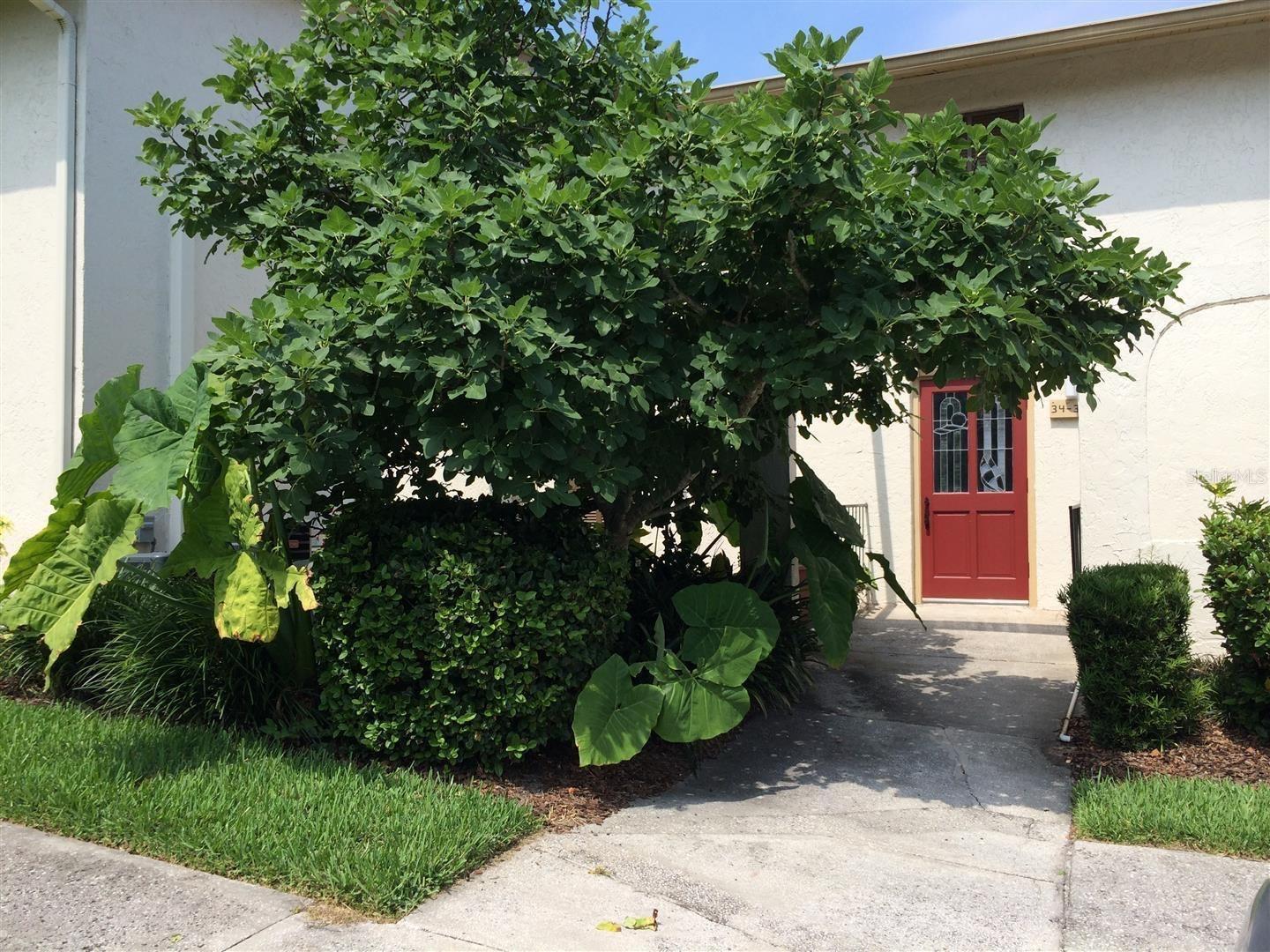 200 MAITLAND AVE #34, ALTAMONTE SPRINGS, FL — photo 2