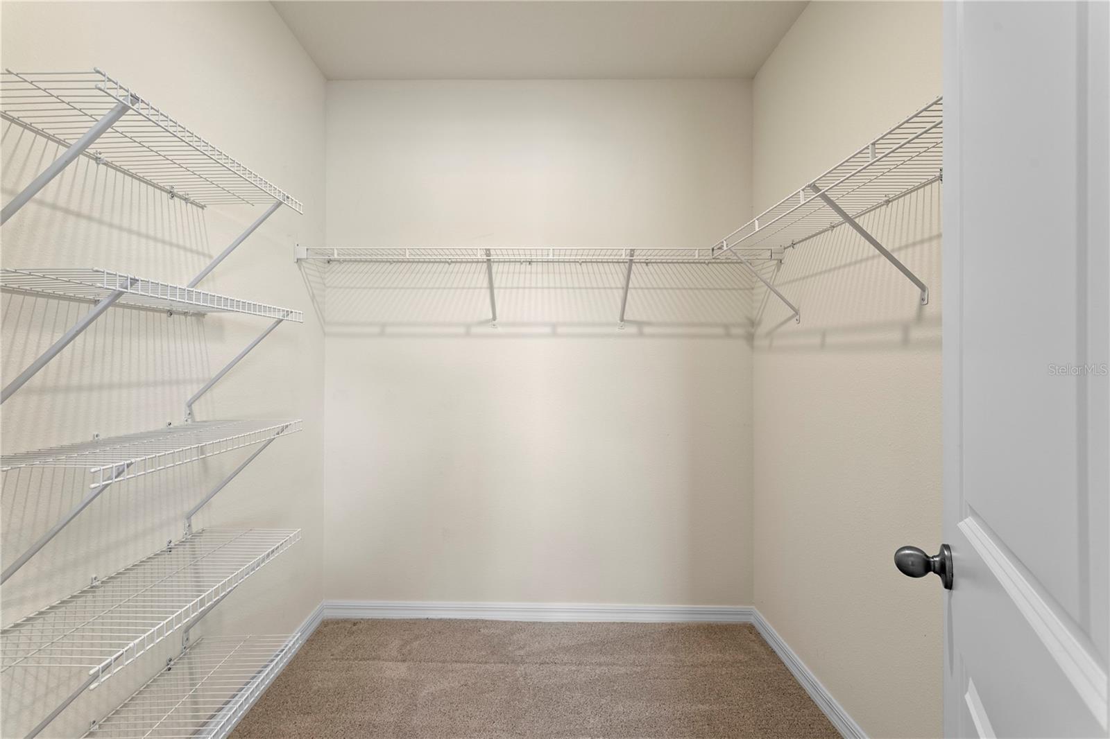 3288 TUCSON WIND PL, ODESSA, FL — photo 41