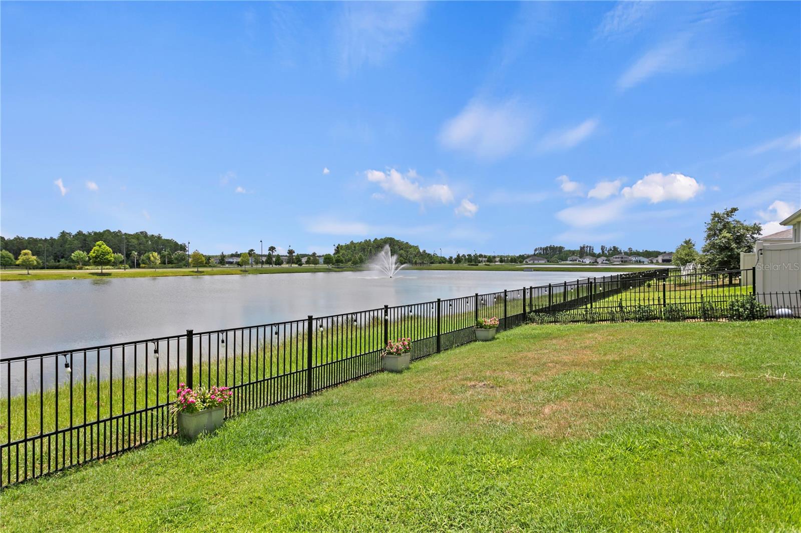 3288 TUCSON WIND PL, ODESSA, FL — photo 60