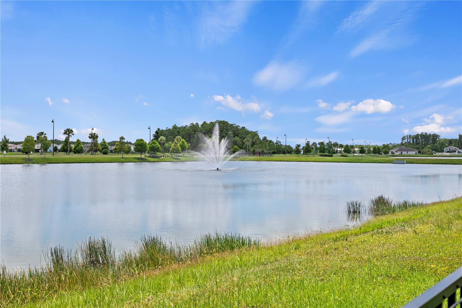 3288 TUCSON WIND PL, ODESSA, FL — photo 70