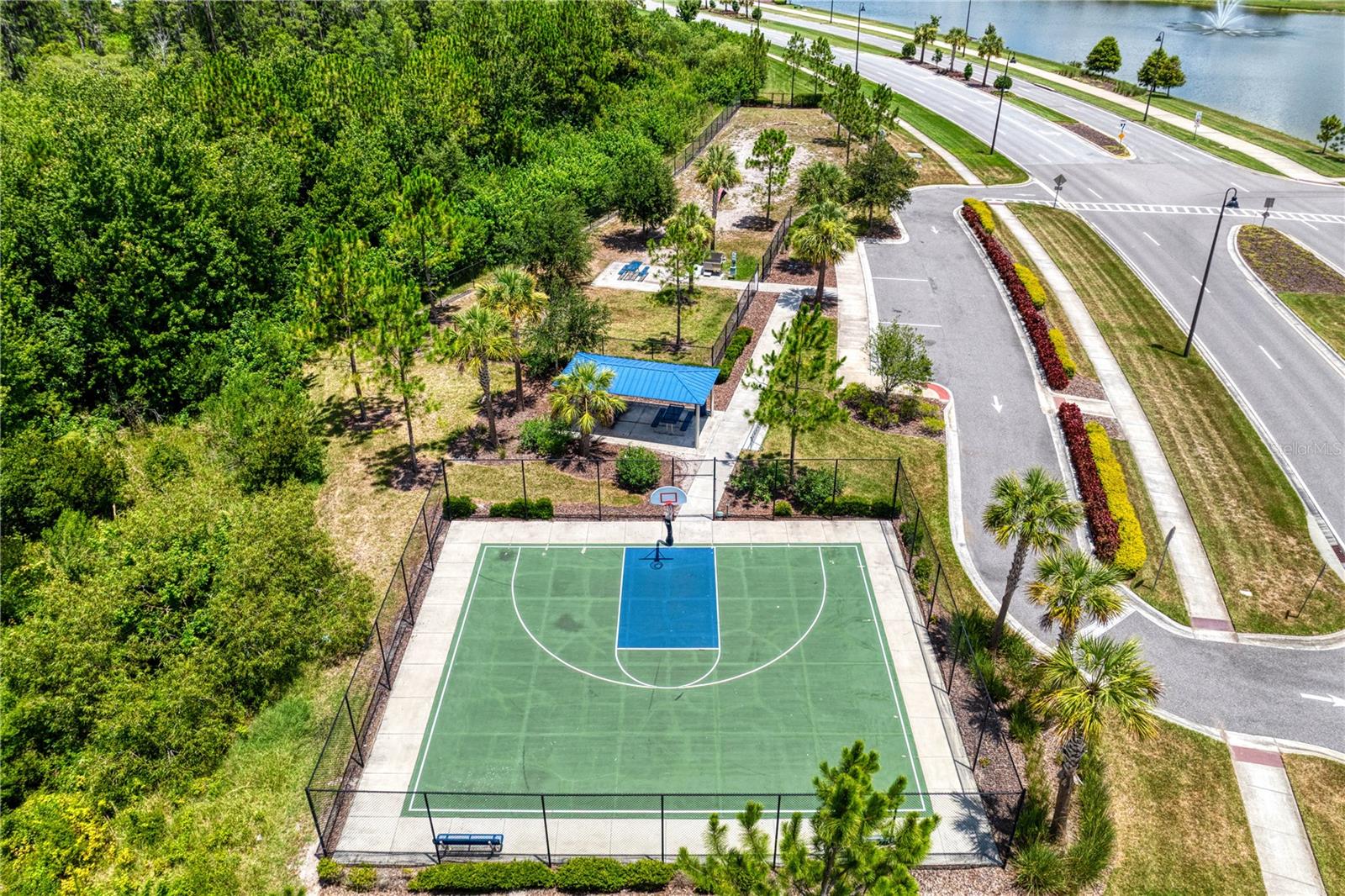 3288 TUCSON WIND PL, ODESSA, FL — photo 83