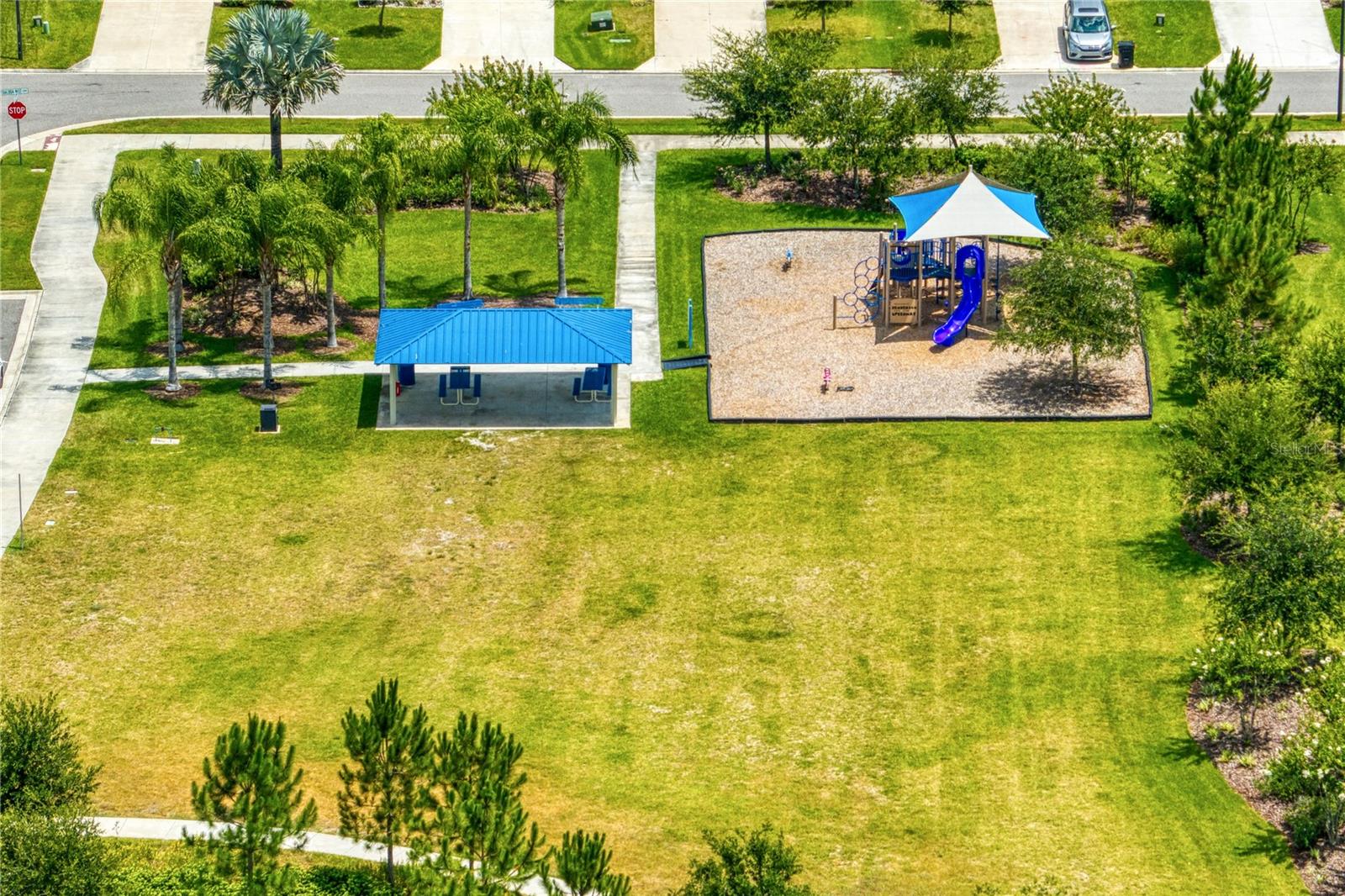 3288 TUCSON WIND PL, ODESSA, FL — photo 86