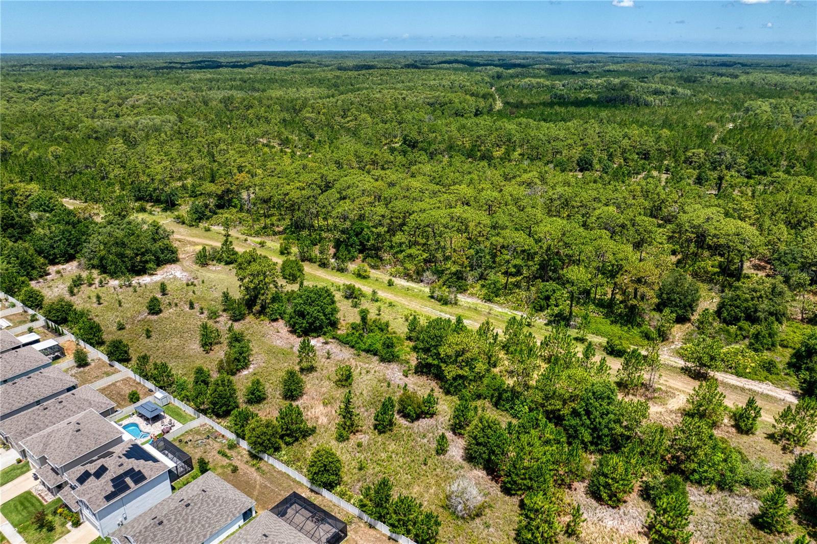3288 TUCSON WIND PL, ODESSA, FL — photo 87