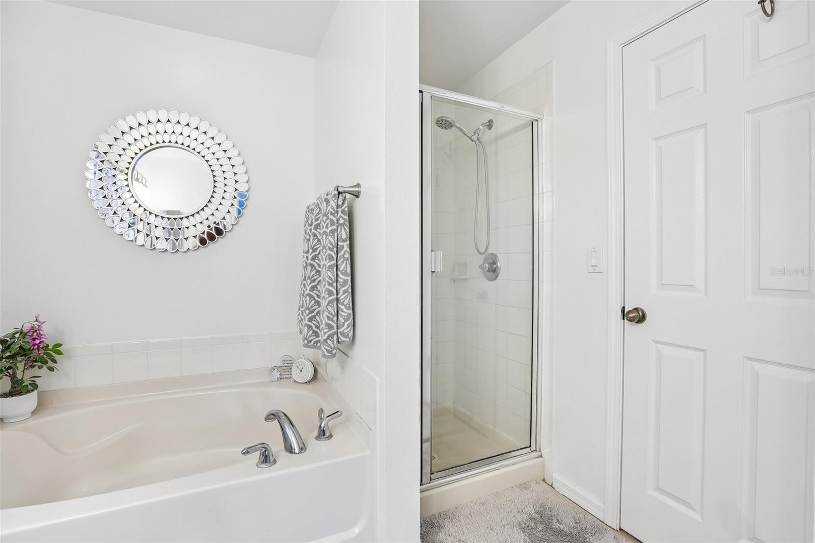 11339 PALM ISLAND AVE, RIVERVIEW, FL — photo 21