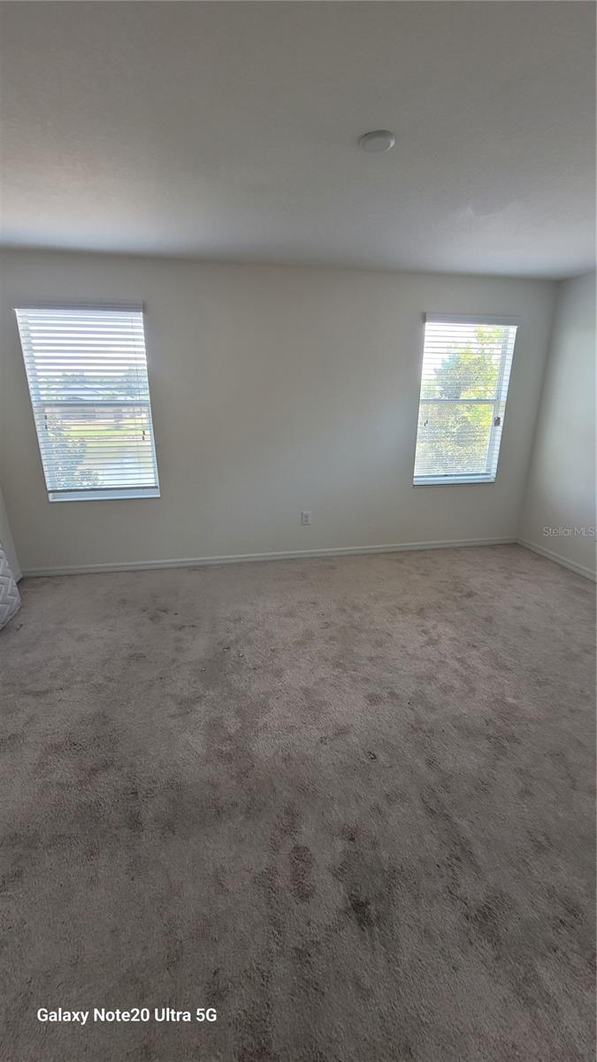 7005 TOWERING SPRUCE DR, RIVERVIEW, FL — photo 6