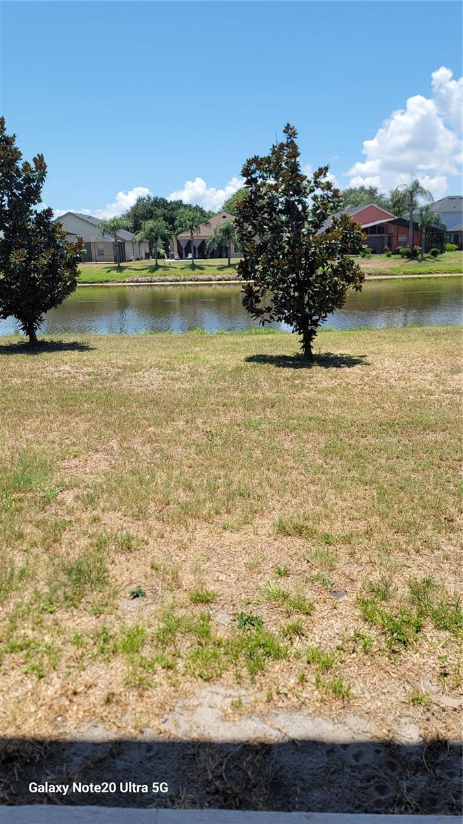 7005 TOWERING SPRUCE DR, RIVERVIEW, FL — photo 11