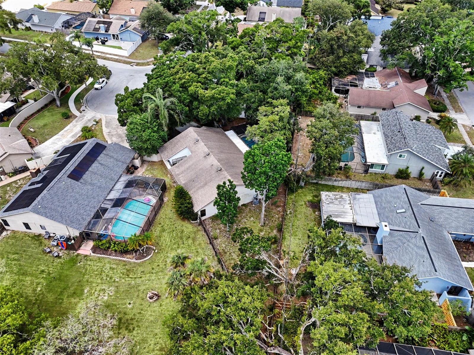 2773 JEFFREY DR, PALM HARBOR, FL — photo 45