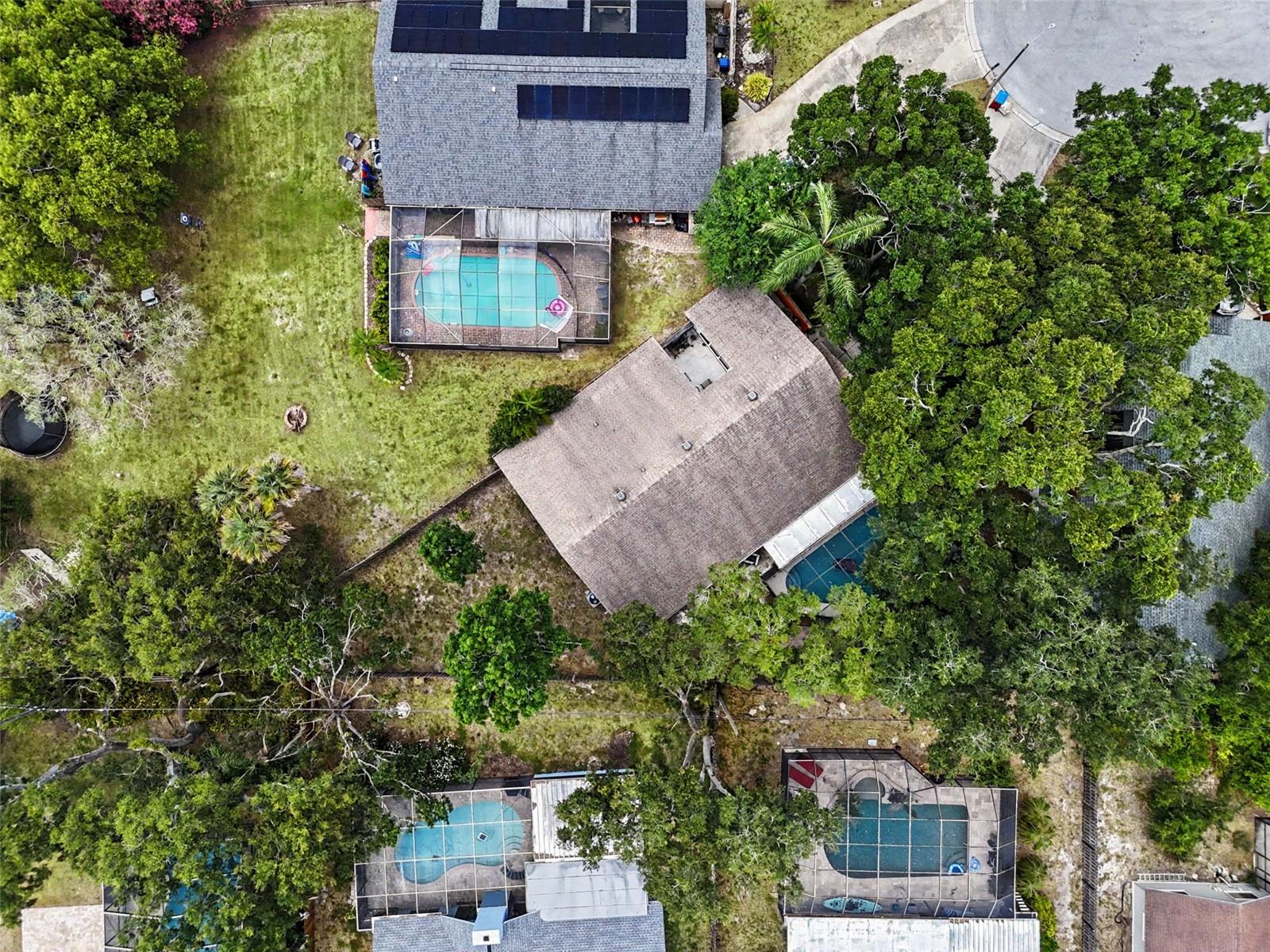2773 JEFFREY DR, PALM HARBOR, FL — photo 46