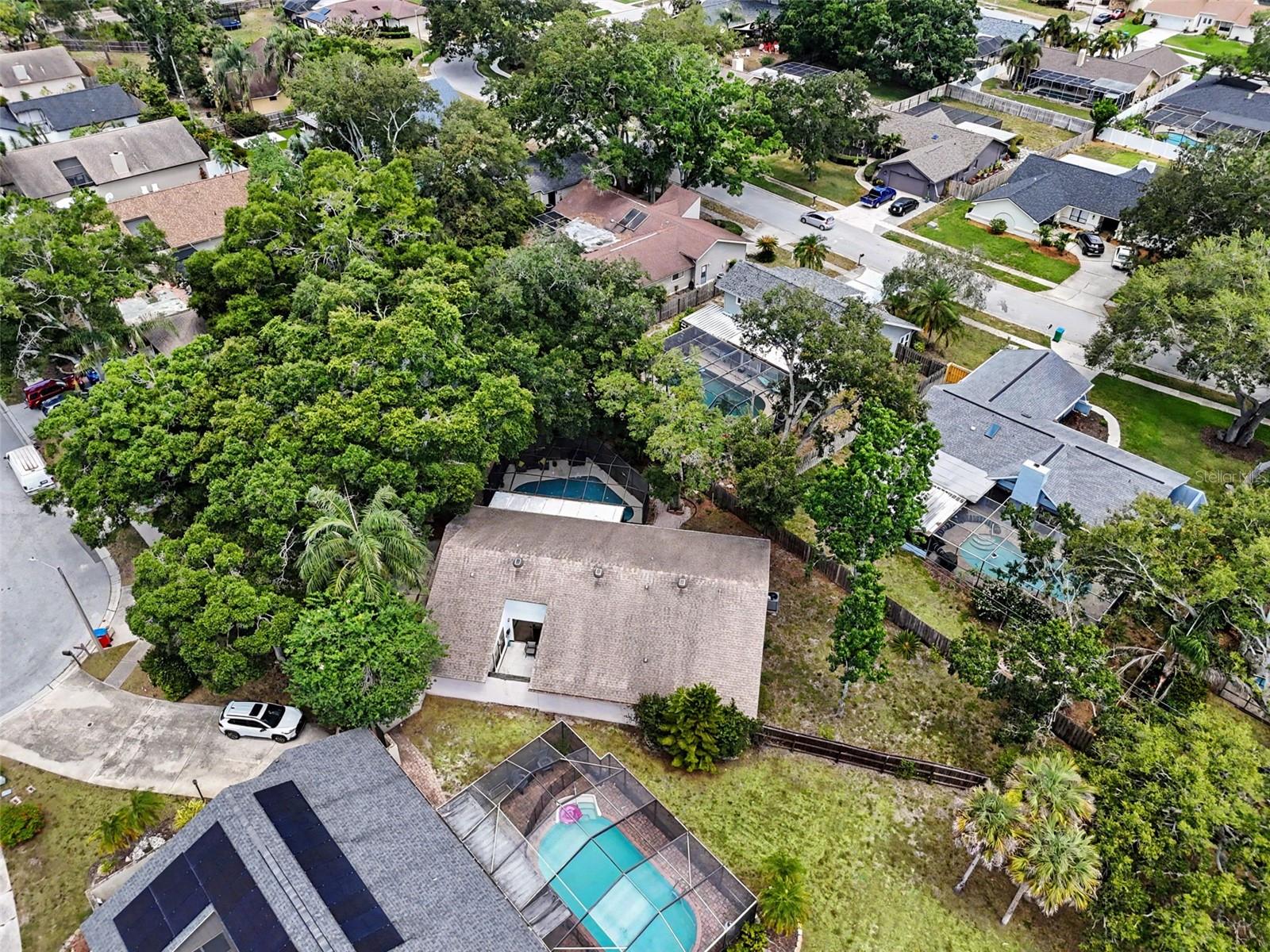 2773 JEFFREY DR, PALM HARBOR, FL — photo 51