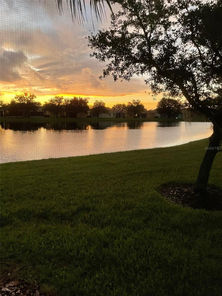 11447 CAPTIVA KAY DR, RIVERVIEW, FL — photo 40
