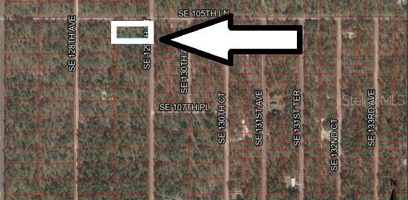 Lot 1 SE 129TH CT, DUNNELLON, FL