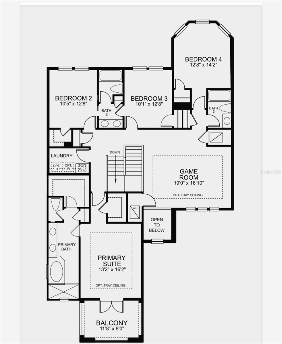 8775 SENTIERO DR, LAND O LAKES, FL — photo 3