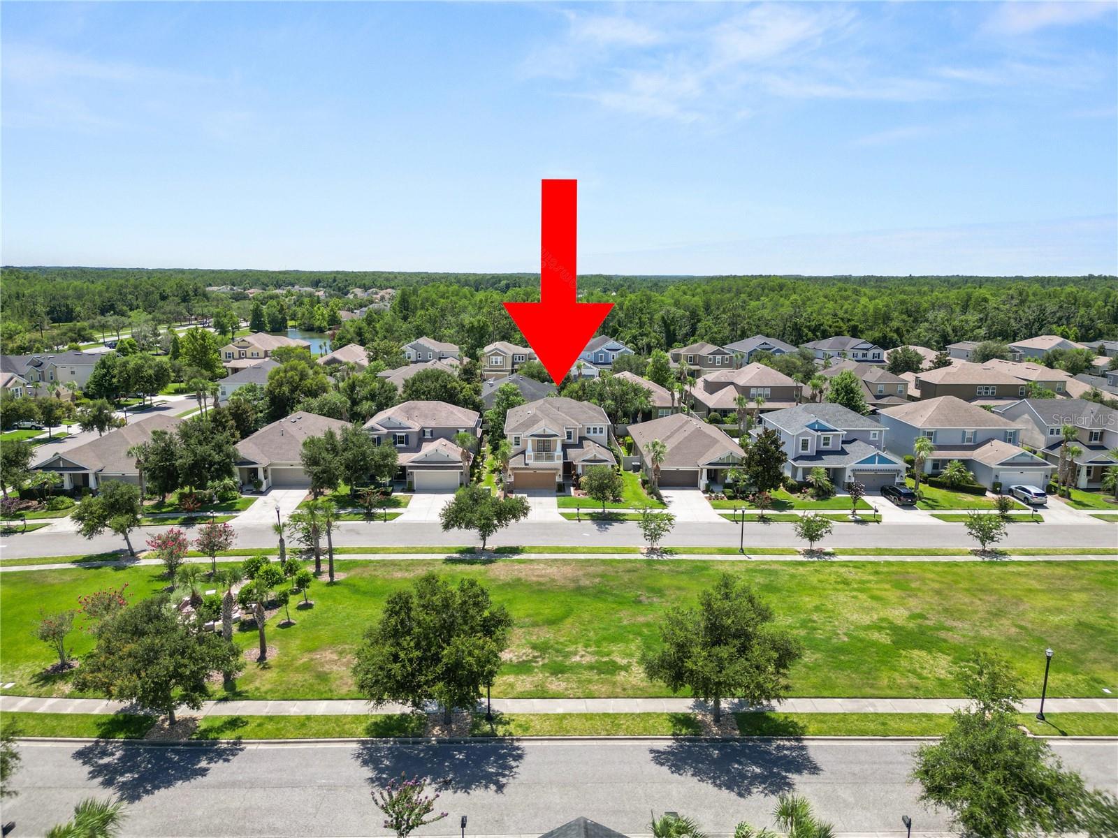 8775 SENTIERO DR, LAND O LAKES, FL — photo 4