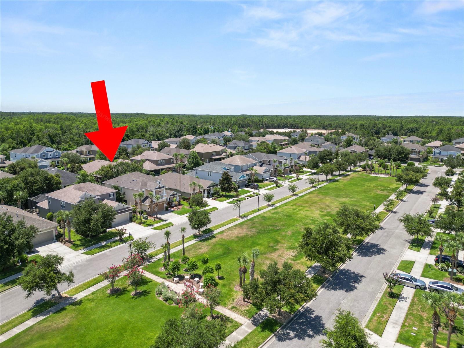 8775 SENTIERO DR, LAND O LAKES, FL — photo 5