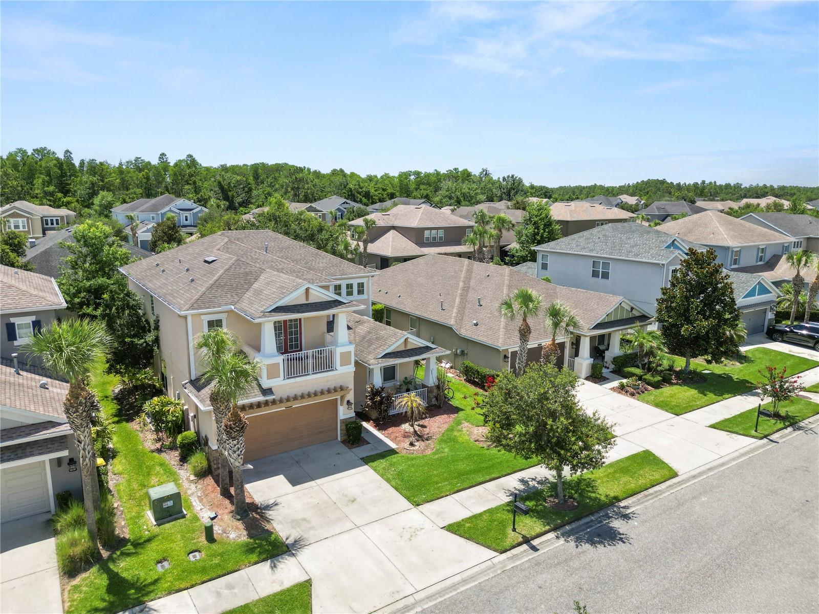 8775 SENTIERO DR, LAND O LAKES, FL — photo 8