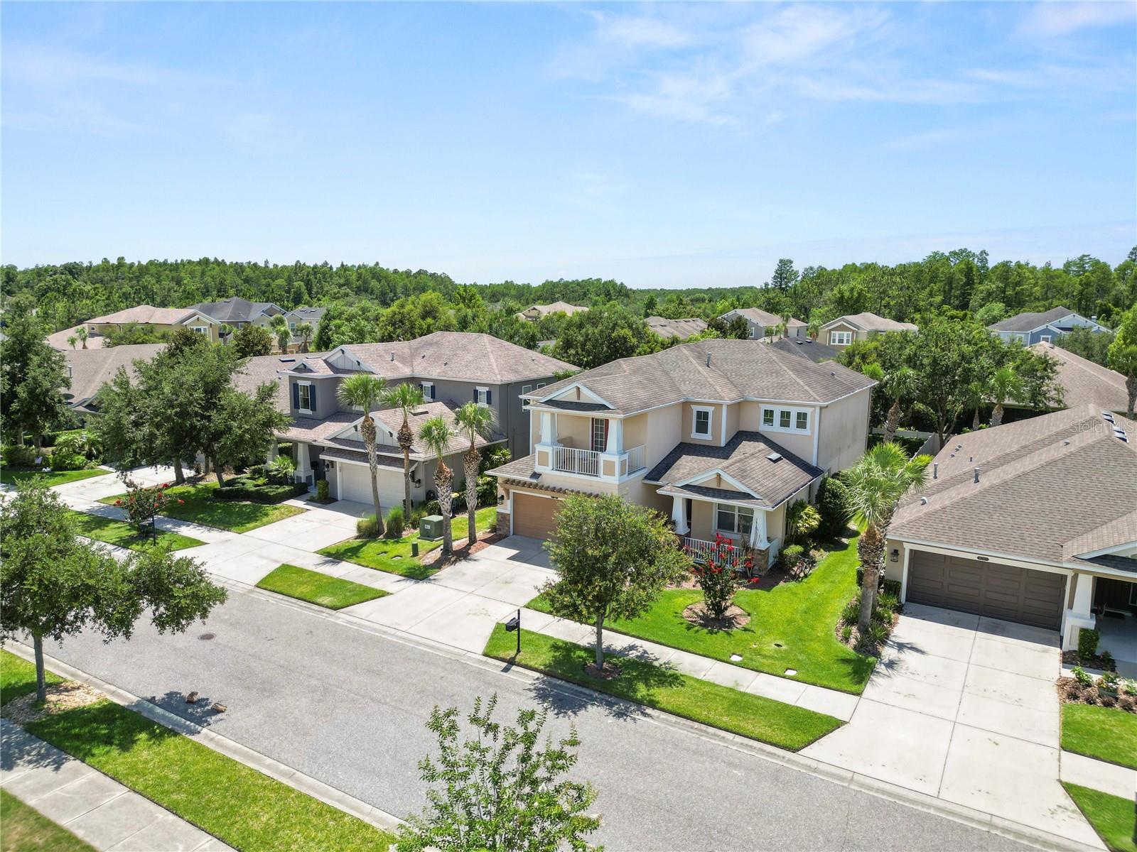 8775 SENTIERO DR, LAND O LAKES, FL — photo 9