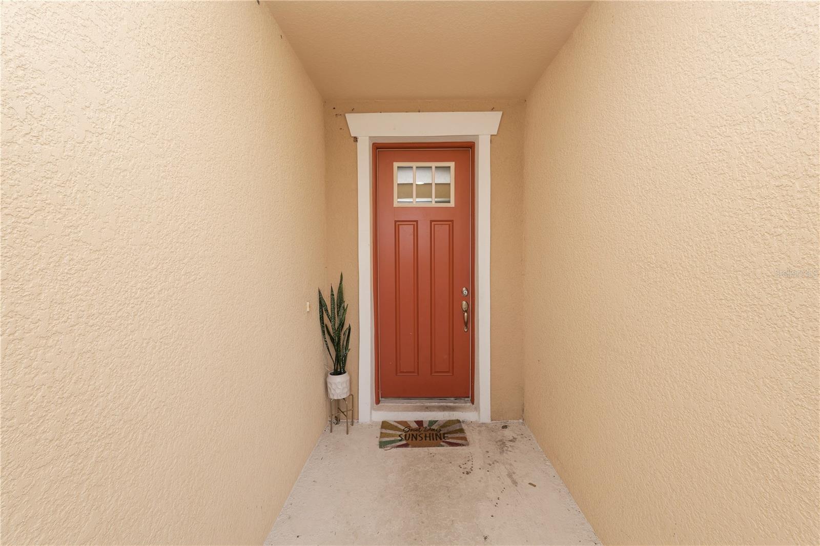 8775 SENTIERO DR, LAND O LAKES, FL — photo 12