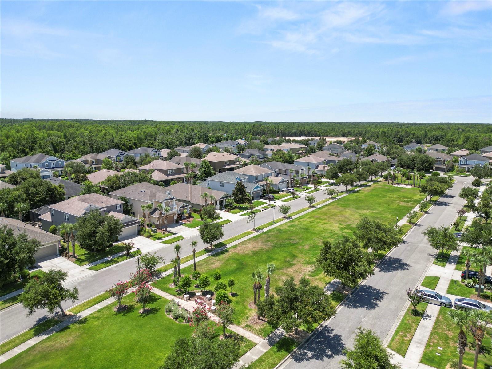 8775 SENTIERO DR, LAND O LAKES, FL — photo 74