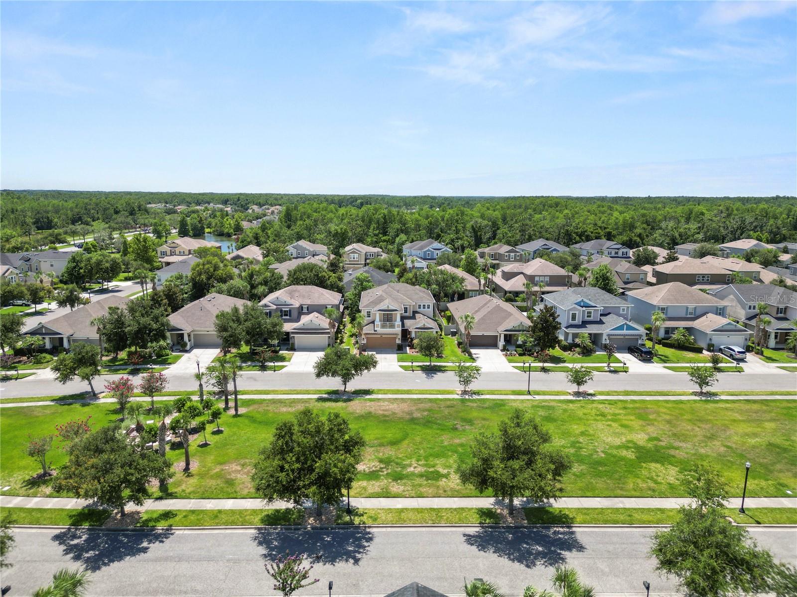 8775 SENTIERO DR, LAND O LAKES, FL — photo 76
