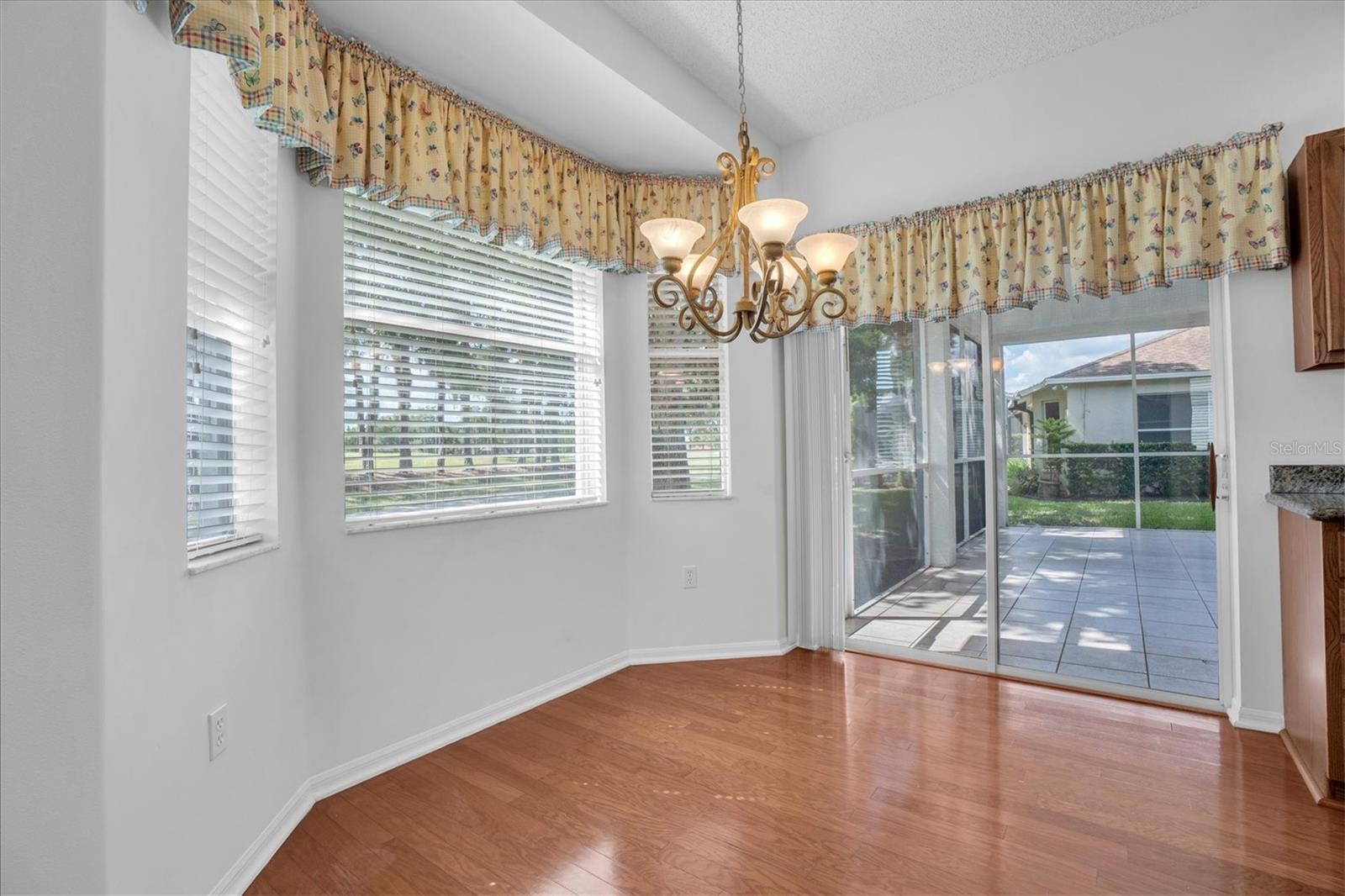 1510 MORNING ROSE PL, TRINITY, FL — photo 13