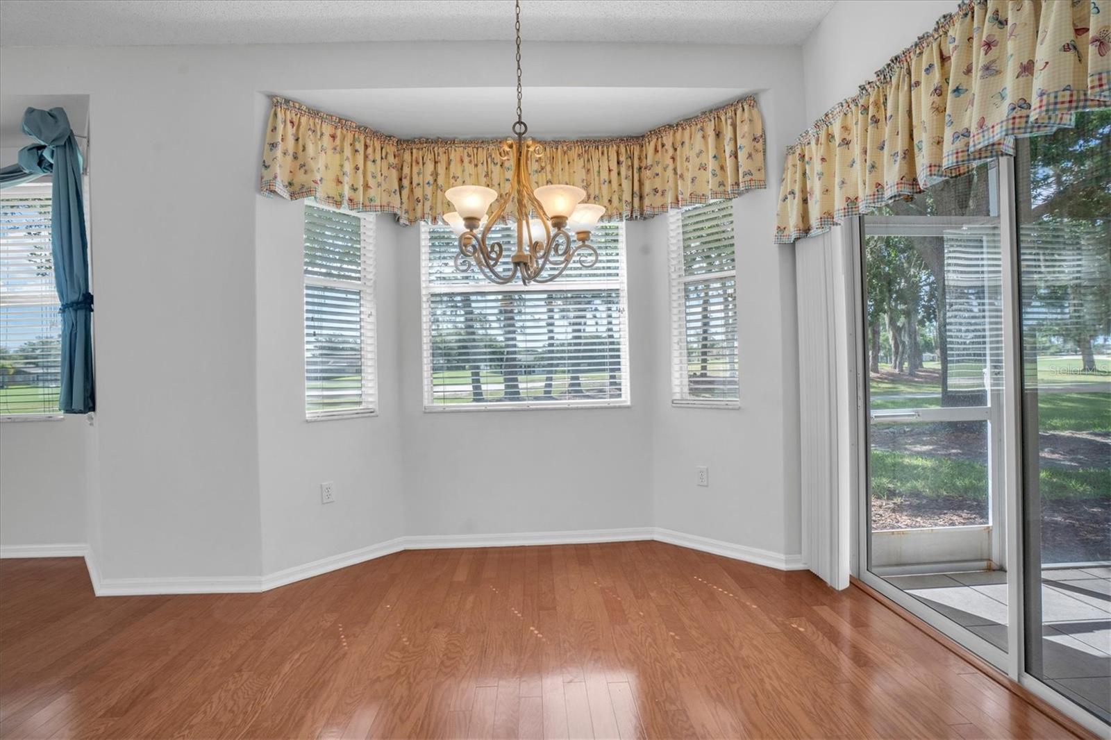 1510 MORNING ROSE PL, TRINITY, FL — photo 14