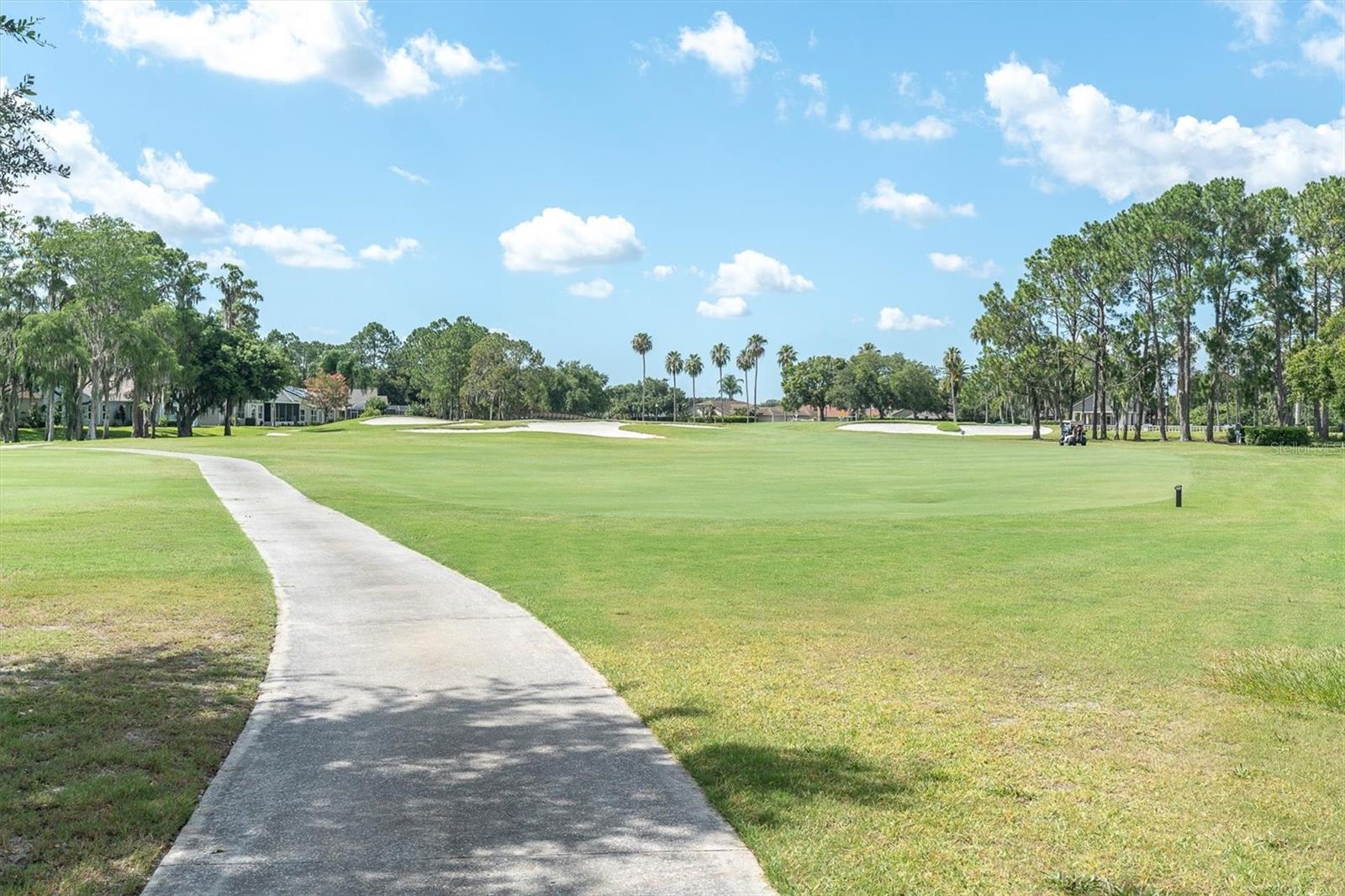 1510 MORNING ROSE PL, TRINITY, FL — photo 40