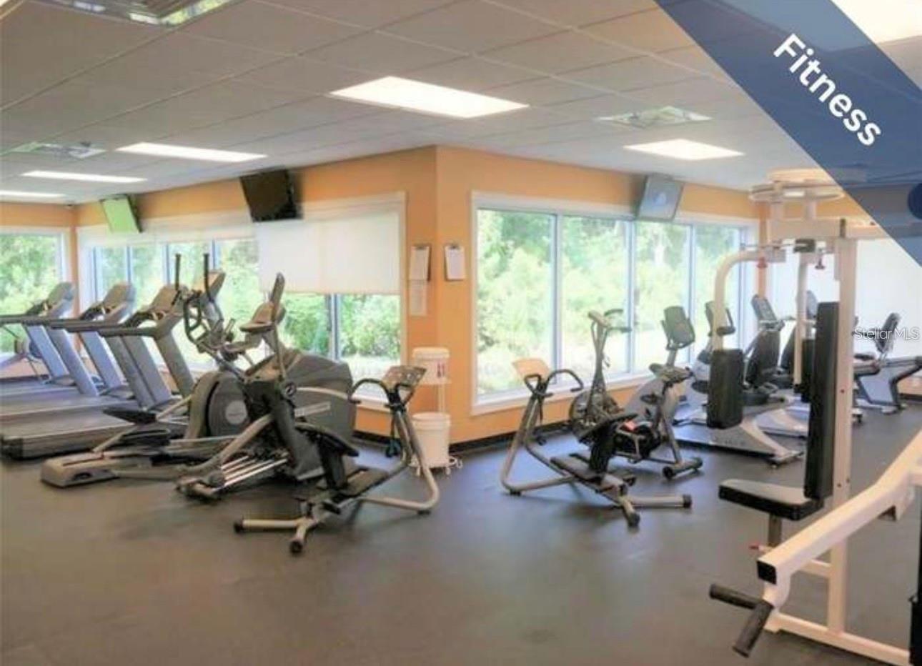 1510 MORNING ROSE PL, TRINITY, FL — photo 45