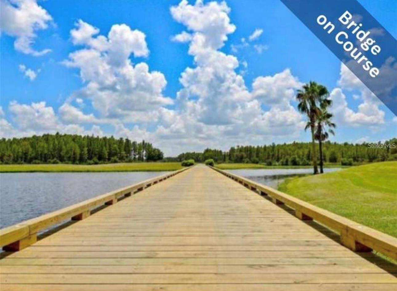 1510 MORNING ROSE PL, TRINITY, FL — photo 46