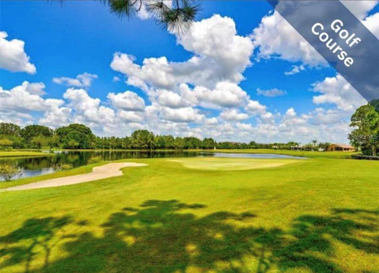 1510 MORNING ROSE PL, TRINITY, FL — photo 48