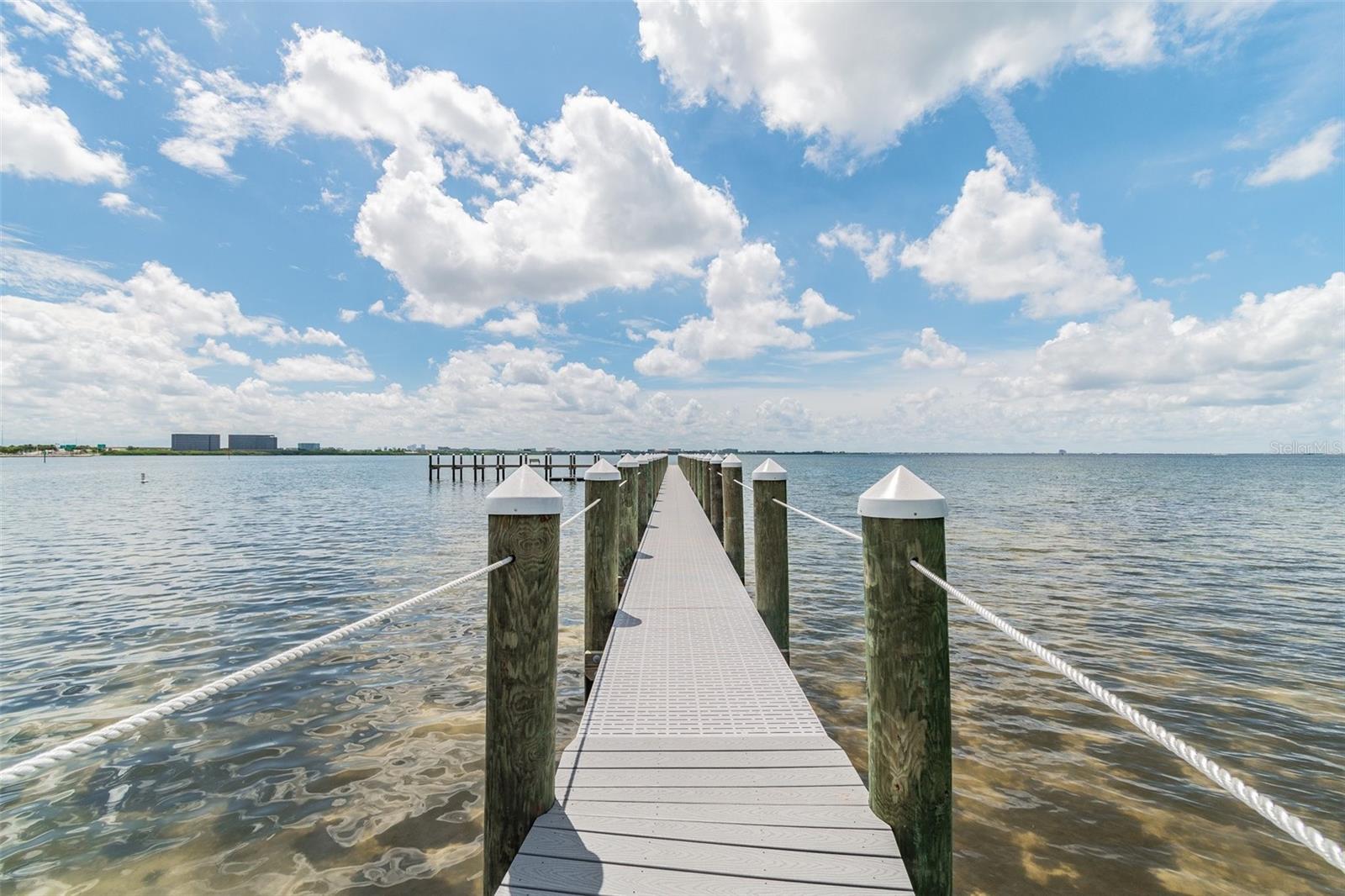 1201 BAY CLUB CIR, TAMPA, FL — photo 65