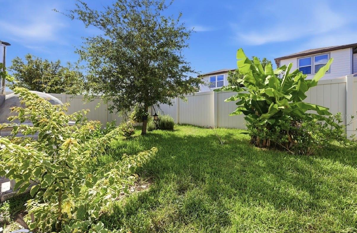 3557 ROCK CREEK LN, KISSIMMEE, FL — photo 44