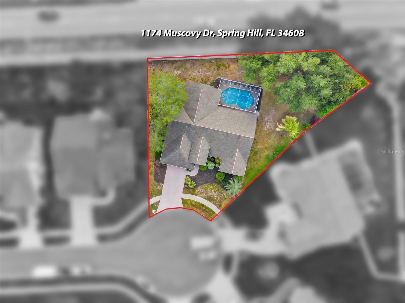 1174 MUSCOVY DR, SPRING HILL, FL — photo 59
