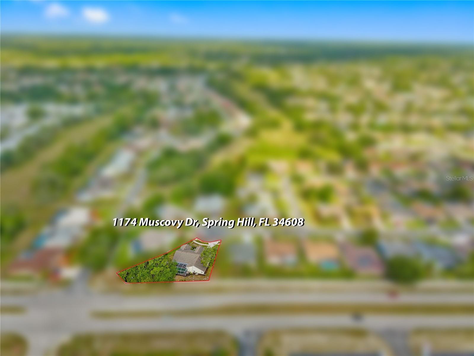 1174 MUSCOVY DR, SPRING HILL, FL — photo 65